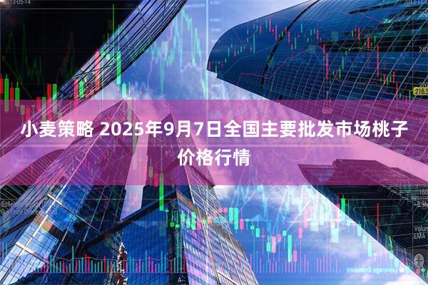 小麦策略 2025年9月7日全国主要批发市场桃子价格行情