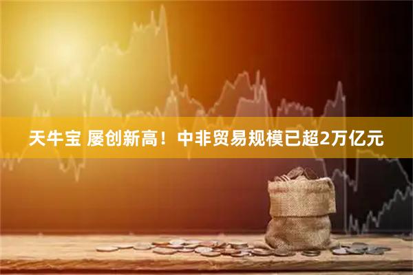 天牛宝 屡创新高！中非贸易规模已超2万亿元