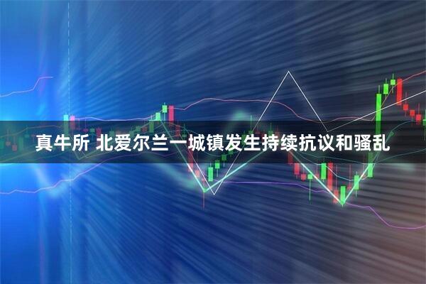 真牛所 北爱尔兰一城镇发生持续抗议和骚乱
