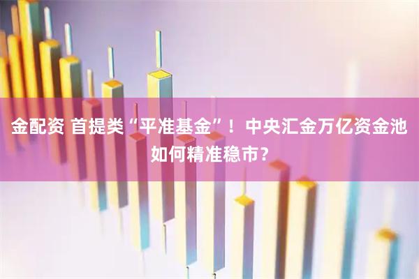 金配资 首提类“平准基金”！中央汇金万亿资金池如何精准稳市？