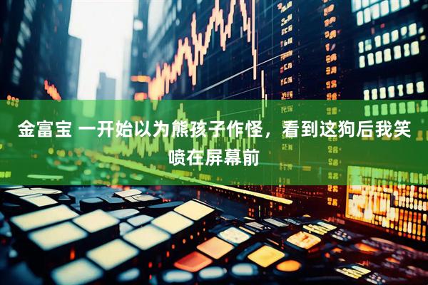 金富宝 一开始以为熊孩子作怪，看到这狗后我笑喷在屏幕前