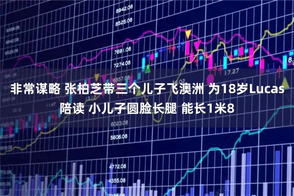 非常谋略 张柏芝带三个儿子飞澳洲 为18岁Lucas陪读 小儿子圆脸长腿 能长1米8