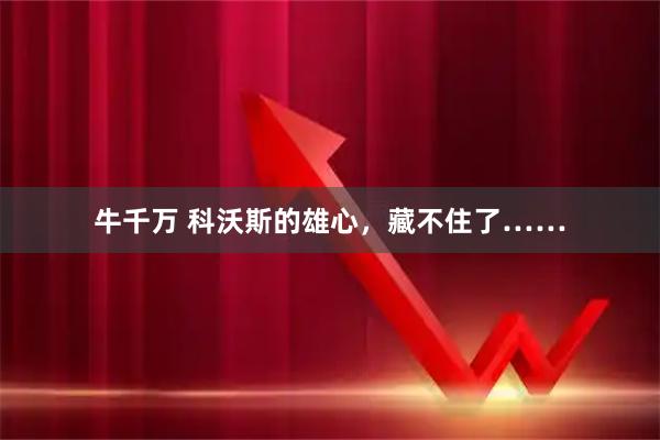 牛千万 科沃斯的雄心，藏不住了……