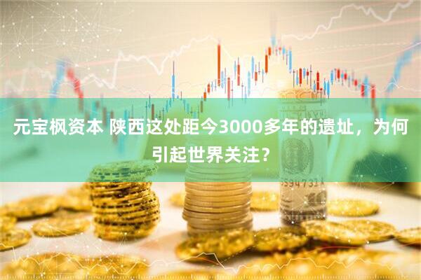 元宝枫资本 陕西这处距今3000多年的遗址，为何引起世界关注？