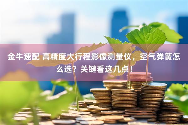 金牛速配 高精度大行程影像测量仪，空气弹簧怎么选？关键看这几点！