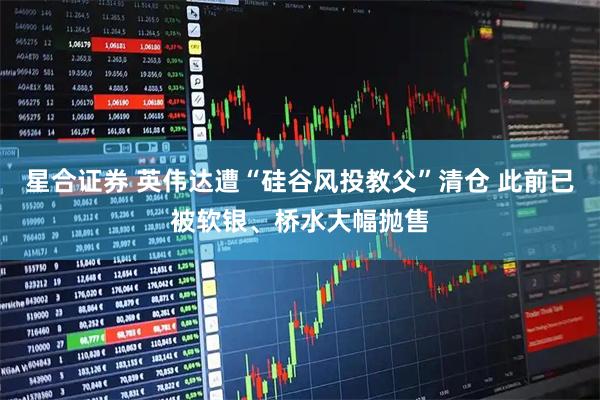 星合证券 英伟达遭“硅谷风投教父”清仓 此前已被软银、桥水大幅抛售