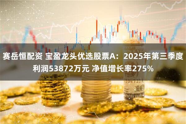 赛岳恒配资 宝盈龙头优选股票A：2025年第三季度利润53872万元 净值增长率275%