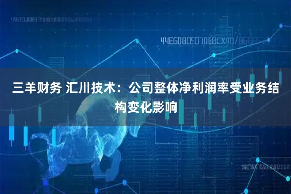 三羊财务 汇川技术：公司整体净利润率受业务结构变化影响